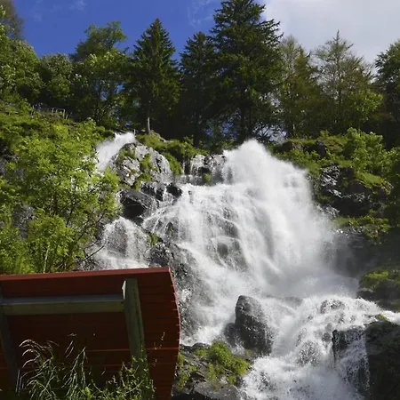 Sieben Tannen Apartamento